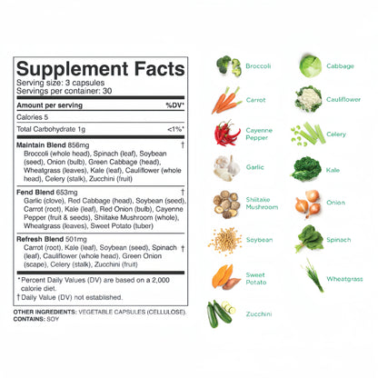 Balance of Nature Whole Food Supplement, Fruits & Veggies, 30 Servings